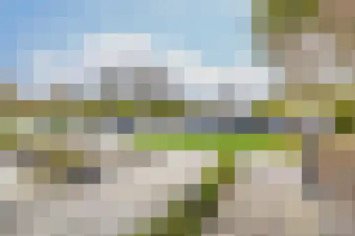 Otterlaan 147 Winschoten thumbnail 8