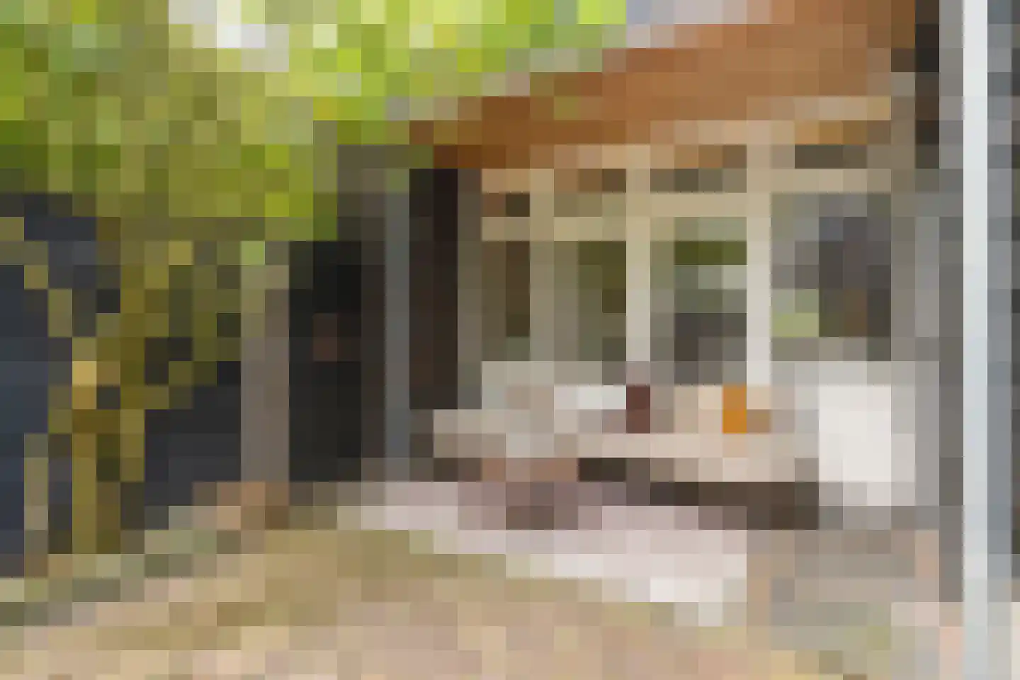 Otterloseweg 35 Harskamp thumbnail 54