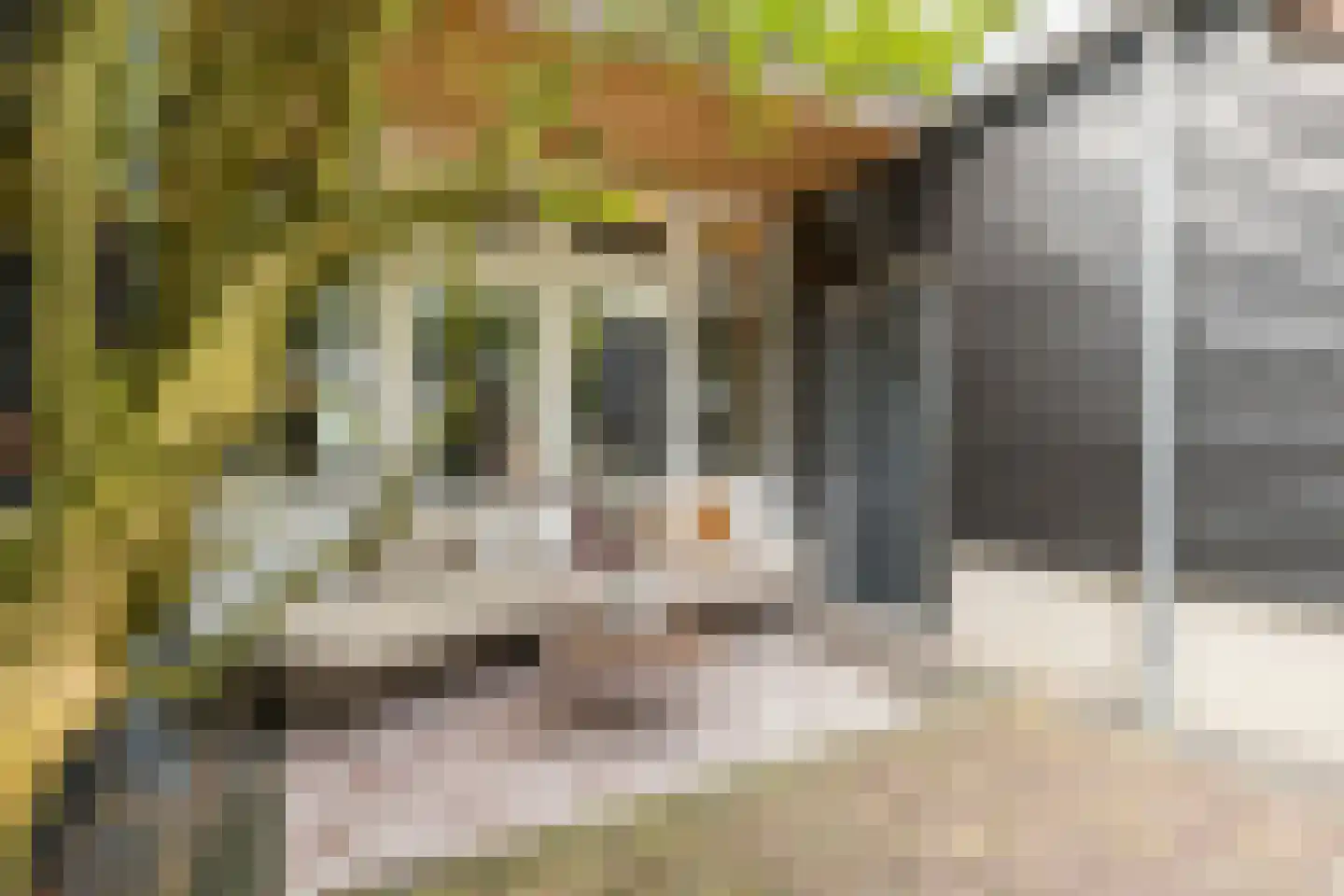 Otterloseweg 35 Harskamp thumbnail 55