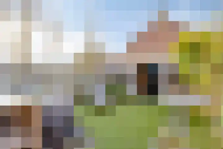 Otterring 42 Breda thumbnail 22