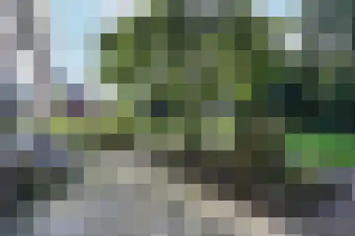 Ottersgat 2 Hoevelaken thumbnail 32