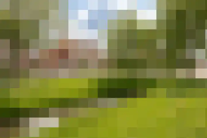 Ottersingel 31 Culemborg foto 2