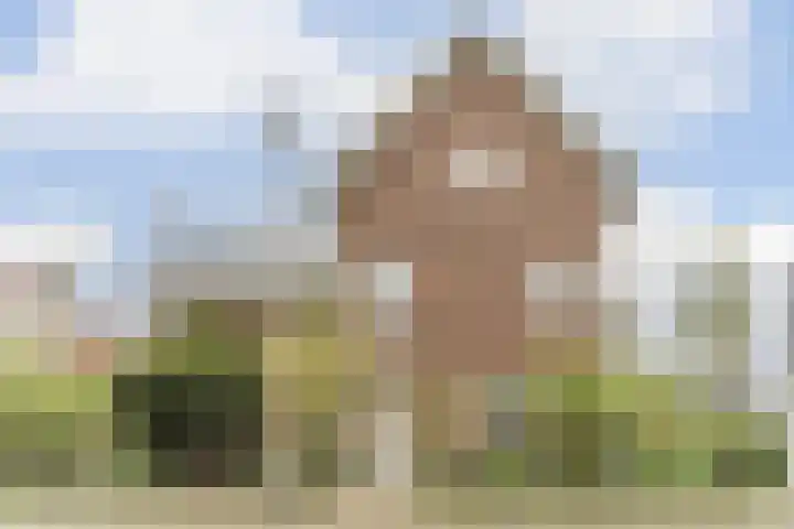 Ottersingel 33 Culemborg thumbnail 42