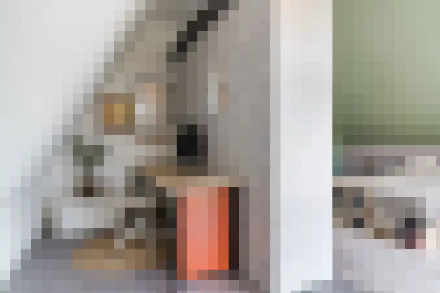 Ottersingel 35 Culemborg thumbnail 31