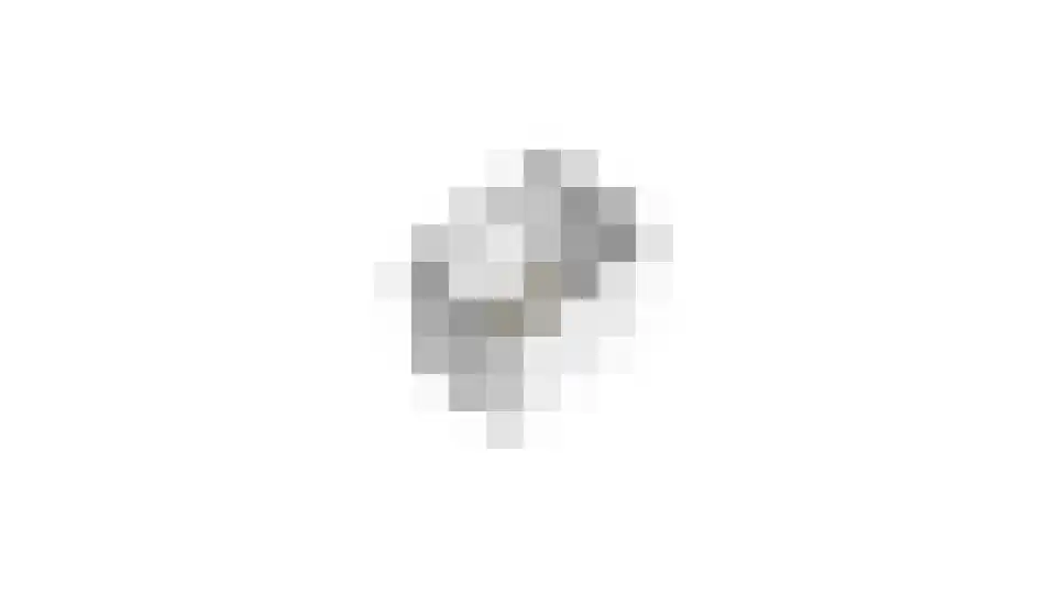 Ottersingel 39 Culemborg thumbnail 36