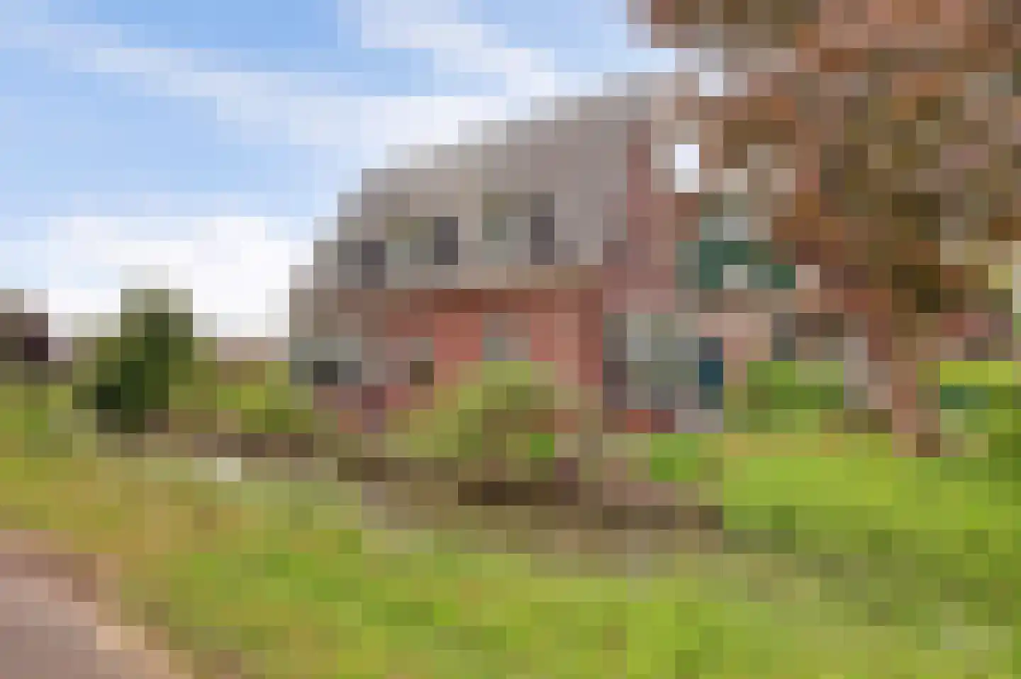 Otterspoorbroek 2 Breukelen thumbnail 4