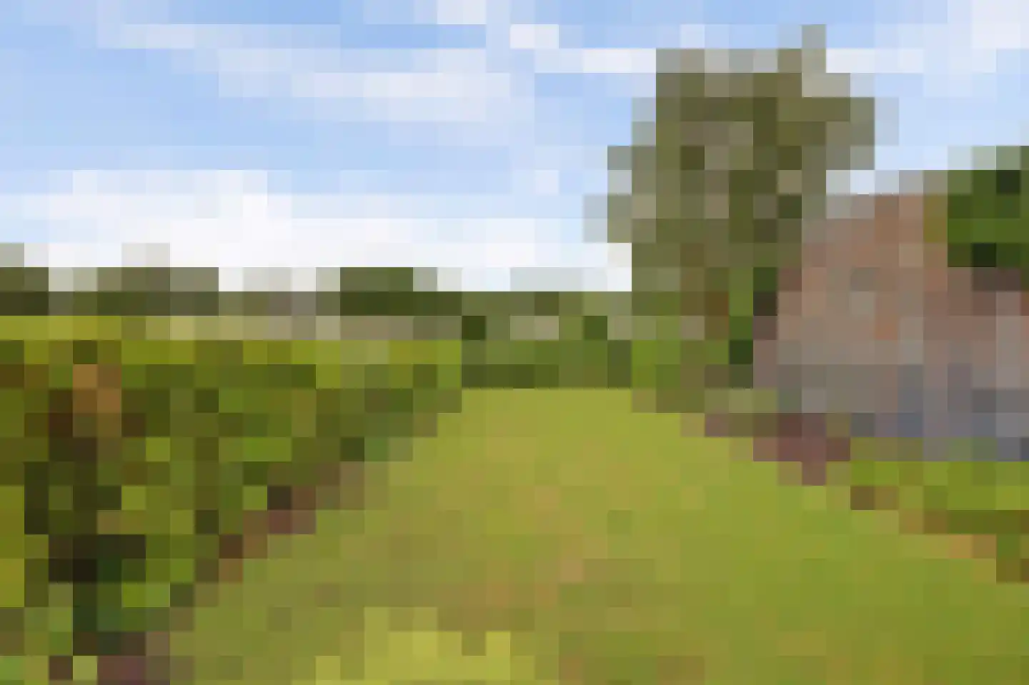 Otterspoorbroek 2 Breukelen thumbnail 57