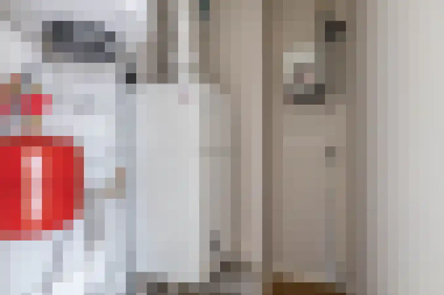 Otterstraat 107 Eindhoven thumbnail 29