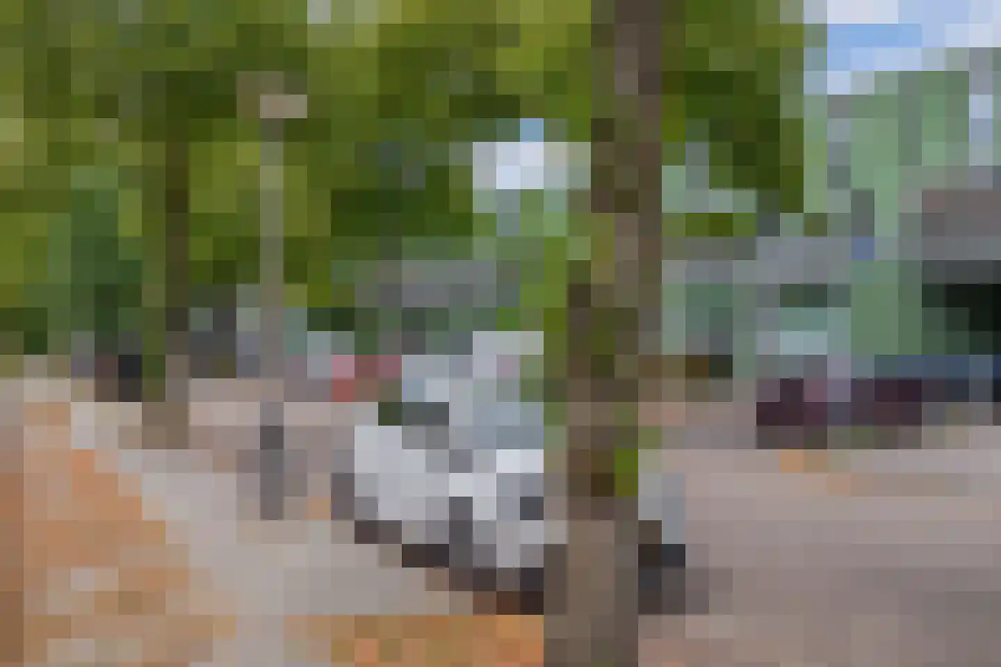 Otterstraat 107 Eindhoven thumbnail 36