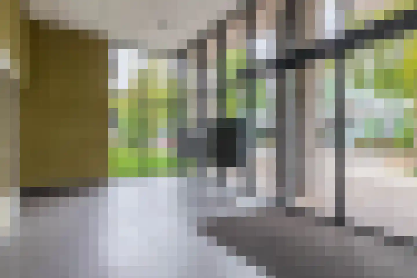 Otterstraat 107 Eindhoven thumbnail 7