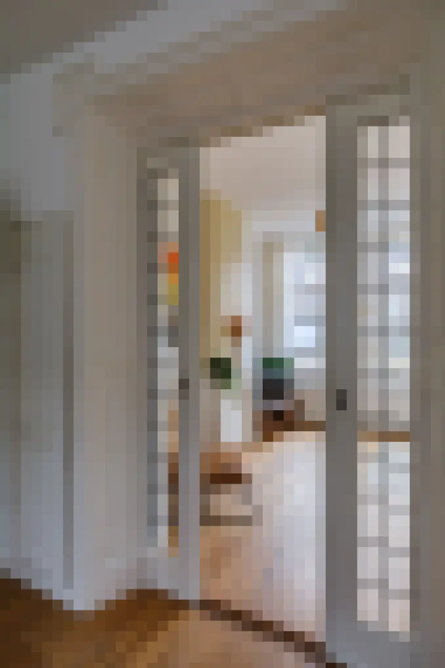 Otterstraat 114 BS Utrecht thumbnail 9