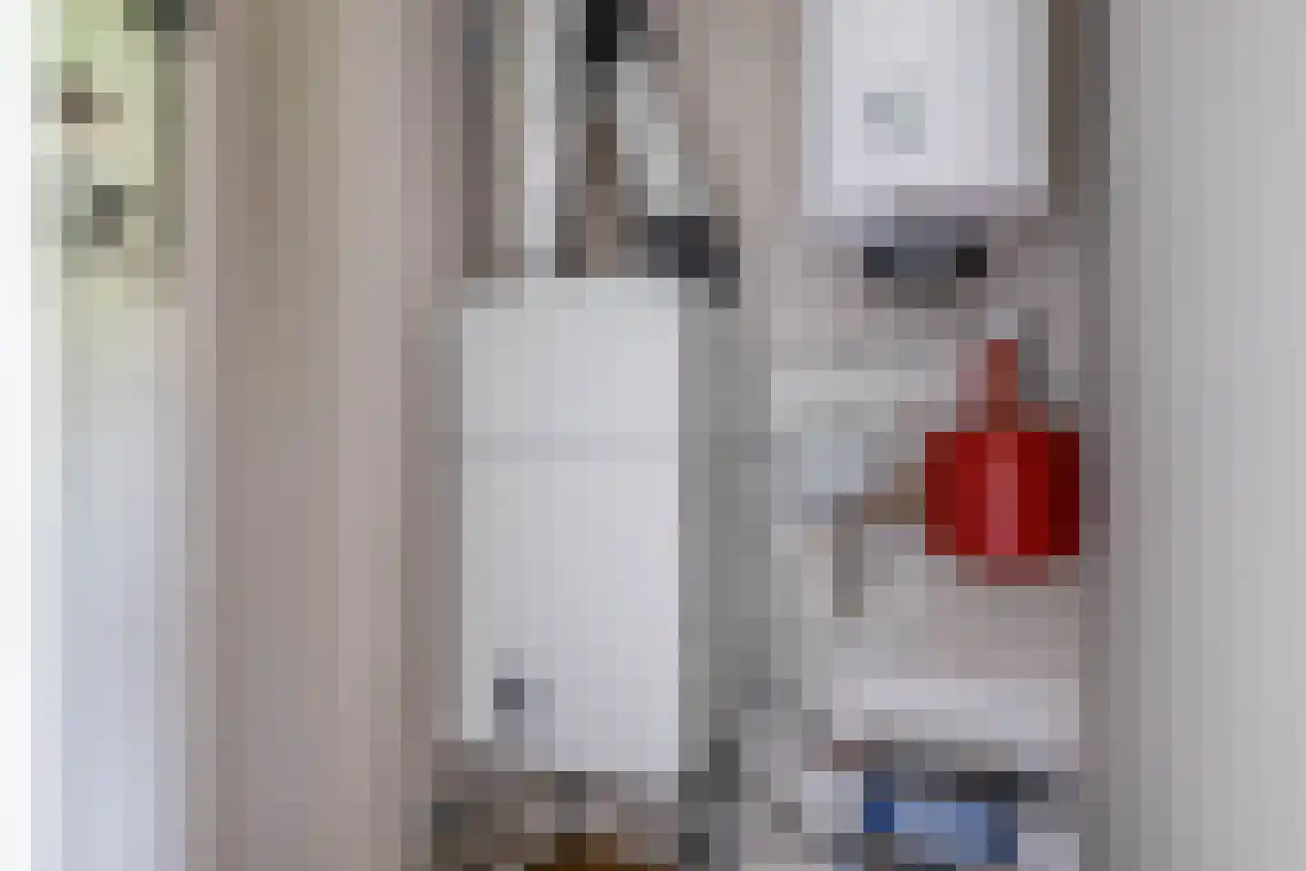 Otterstraat 115 Eindhoven thumbnail 31