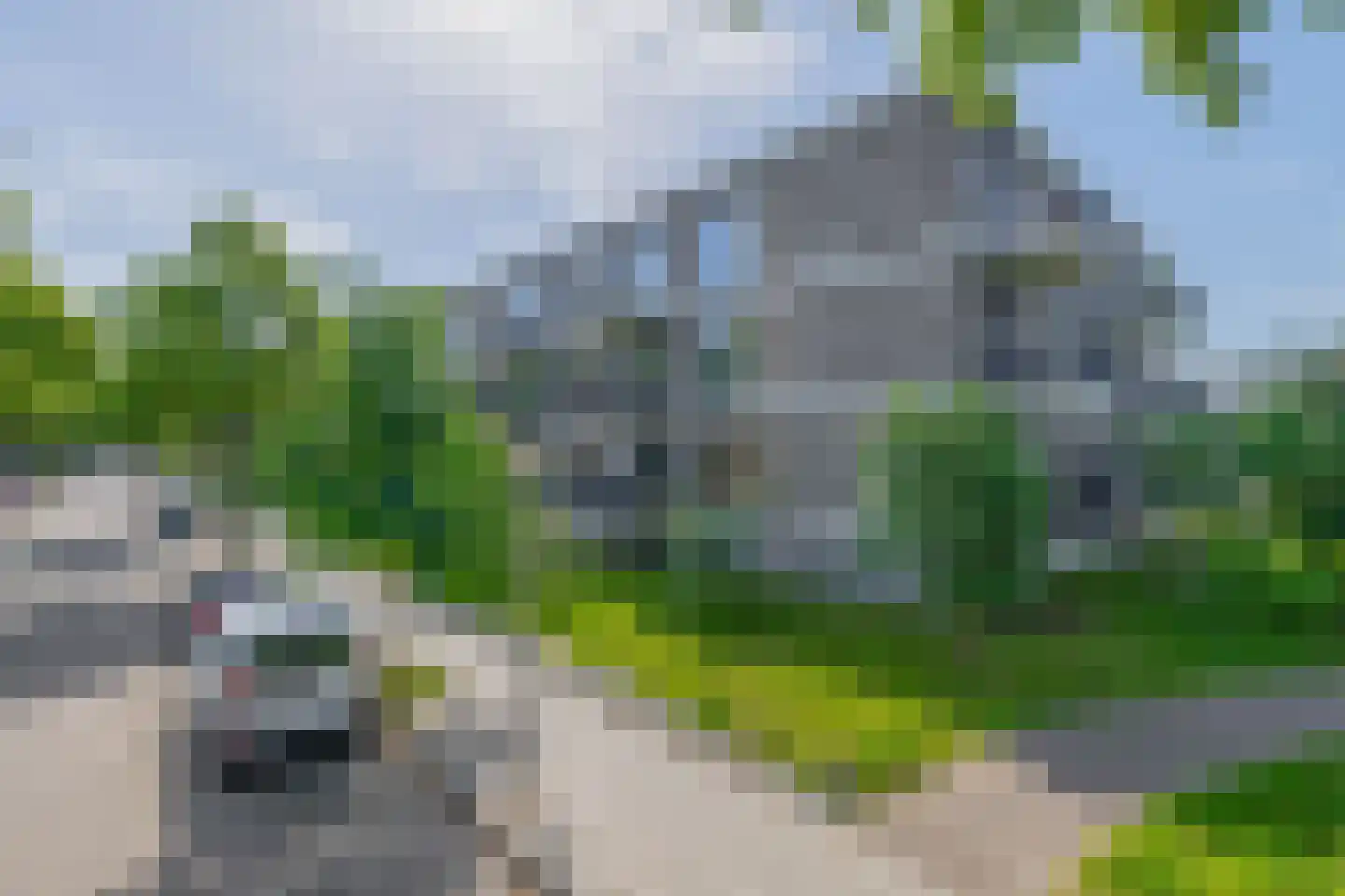 Otterstraat 115 Eindhoven thumbnail 6