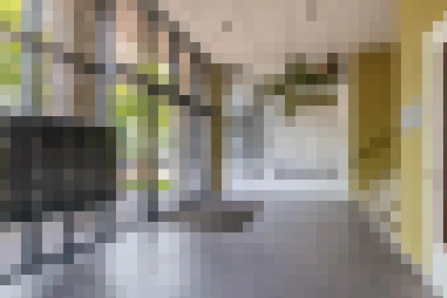 Otterstraat 115 Eindhoven thumbnail 9