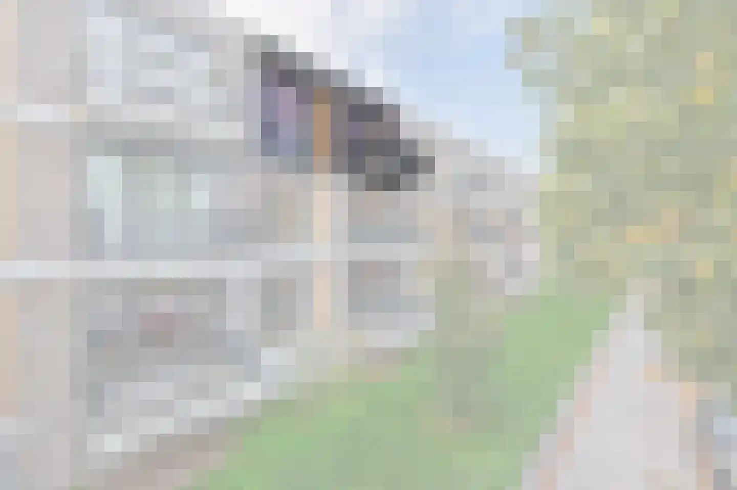 Otterstraat 119 Eindhoven thumbnail 12