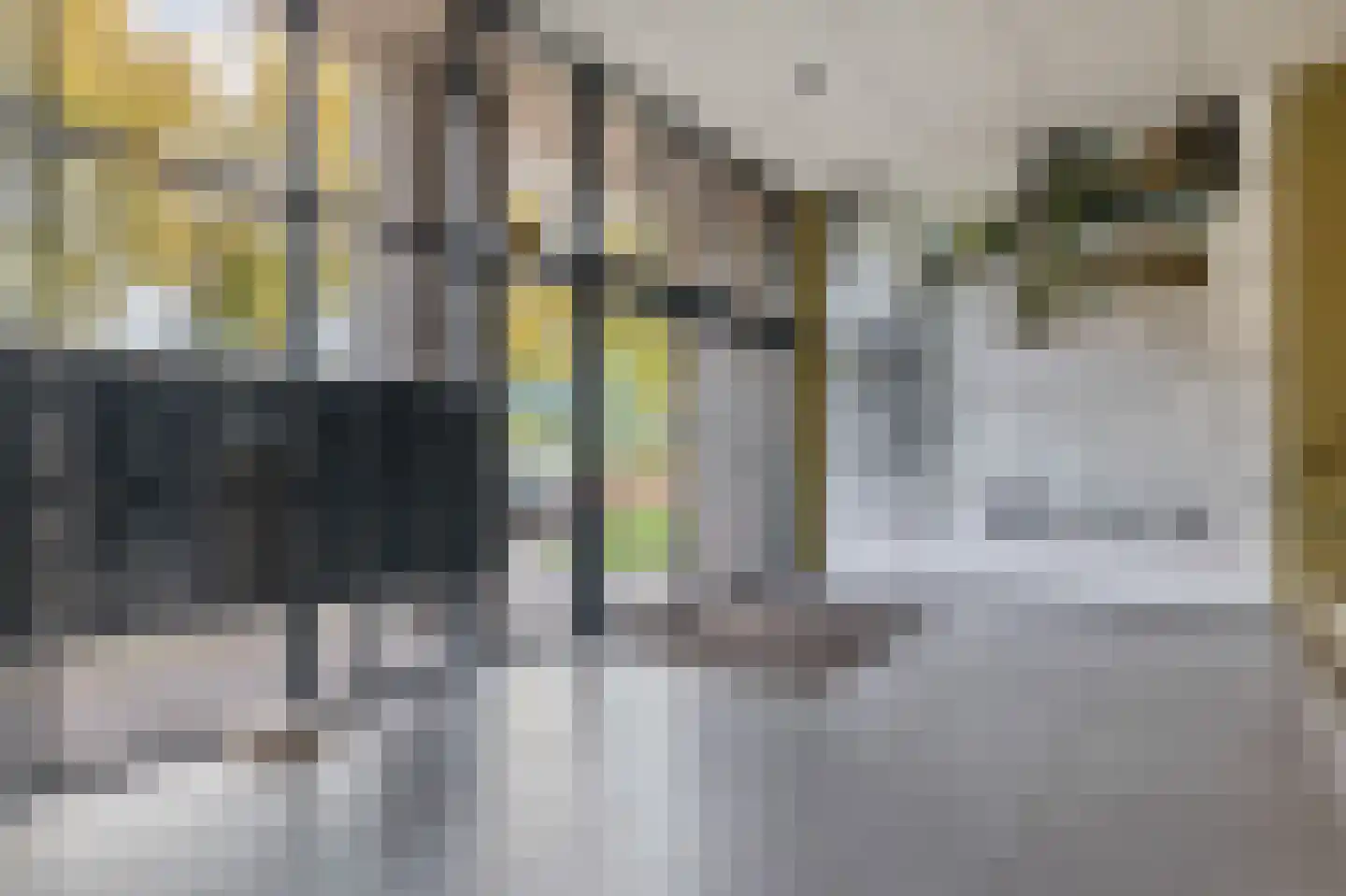 Otterstraat 119 Eindhoven thumbnail 13
