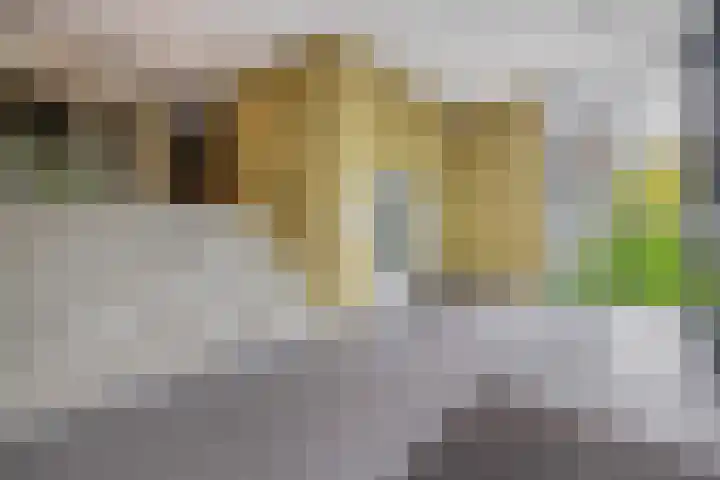 Otterstraat 25 Eindhoven thumbnail 10