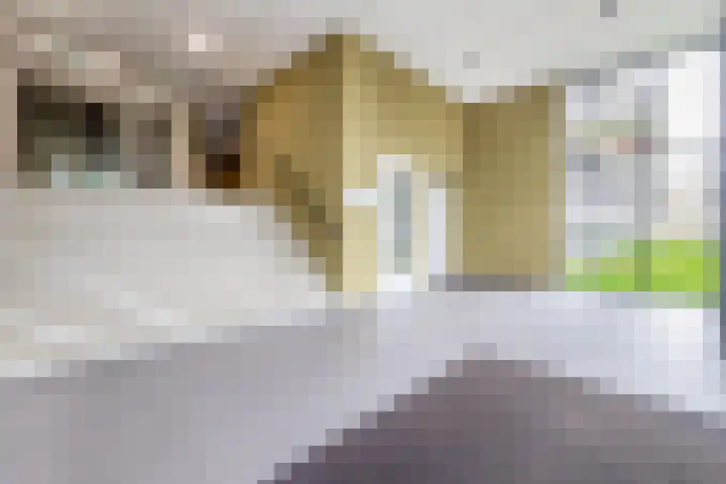 Otterstraat 49 Eindhoven thumbnail 6