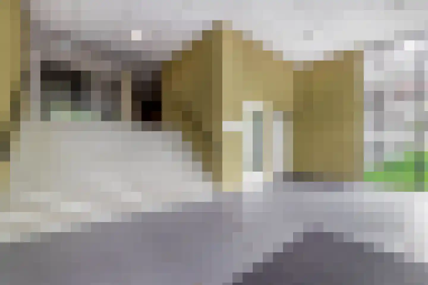 Otterstraat 5 Eindhoven thumbnail 8