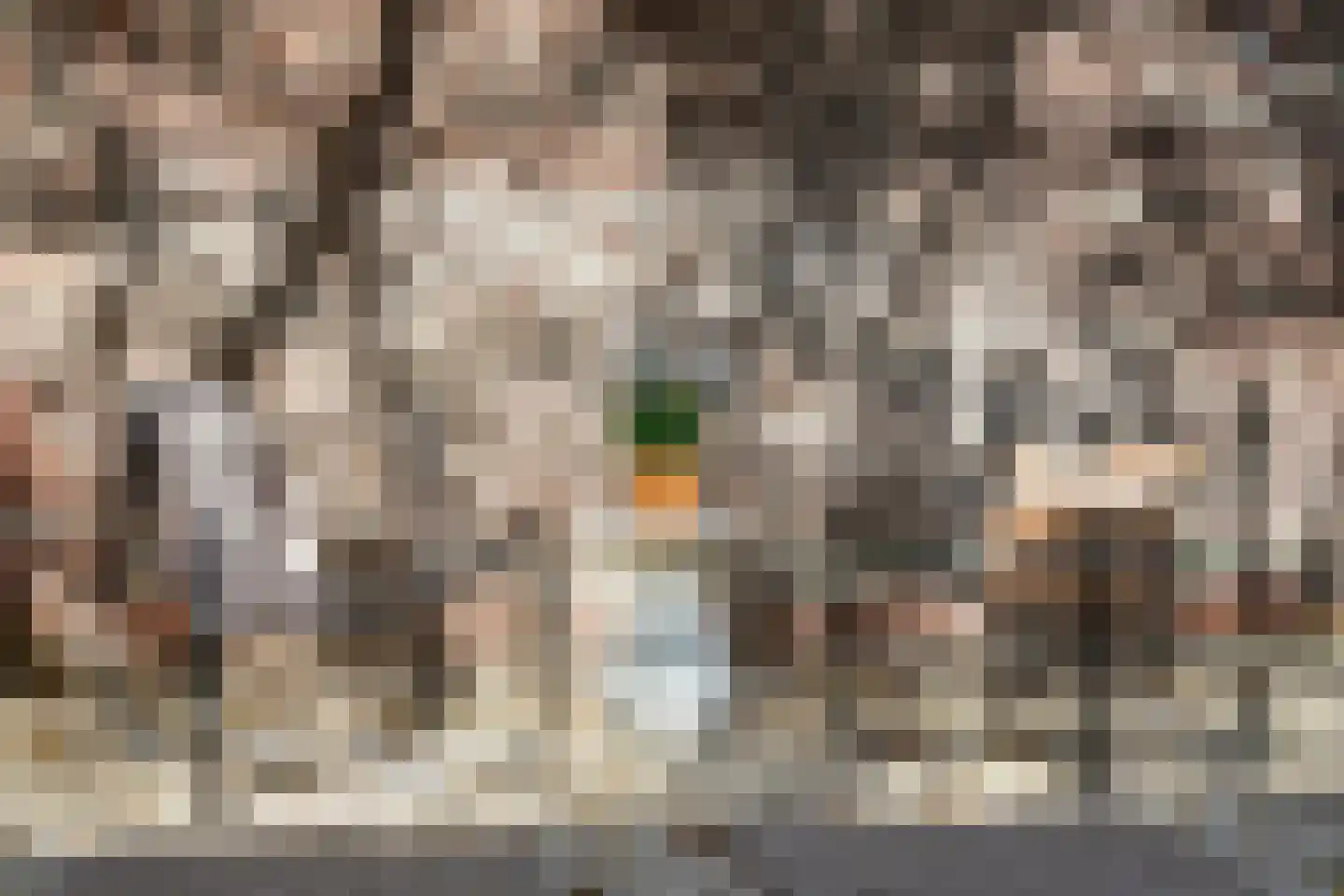 Otterstraat 60 Utrecht thumbnail 18