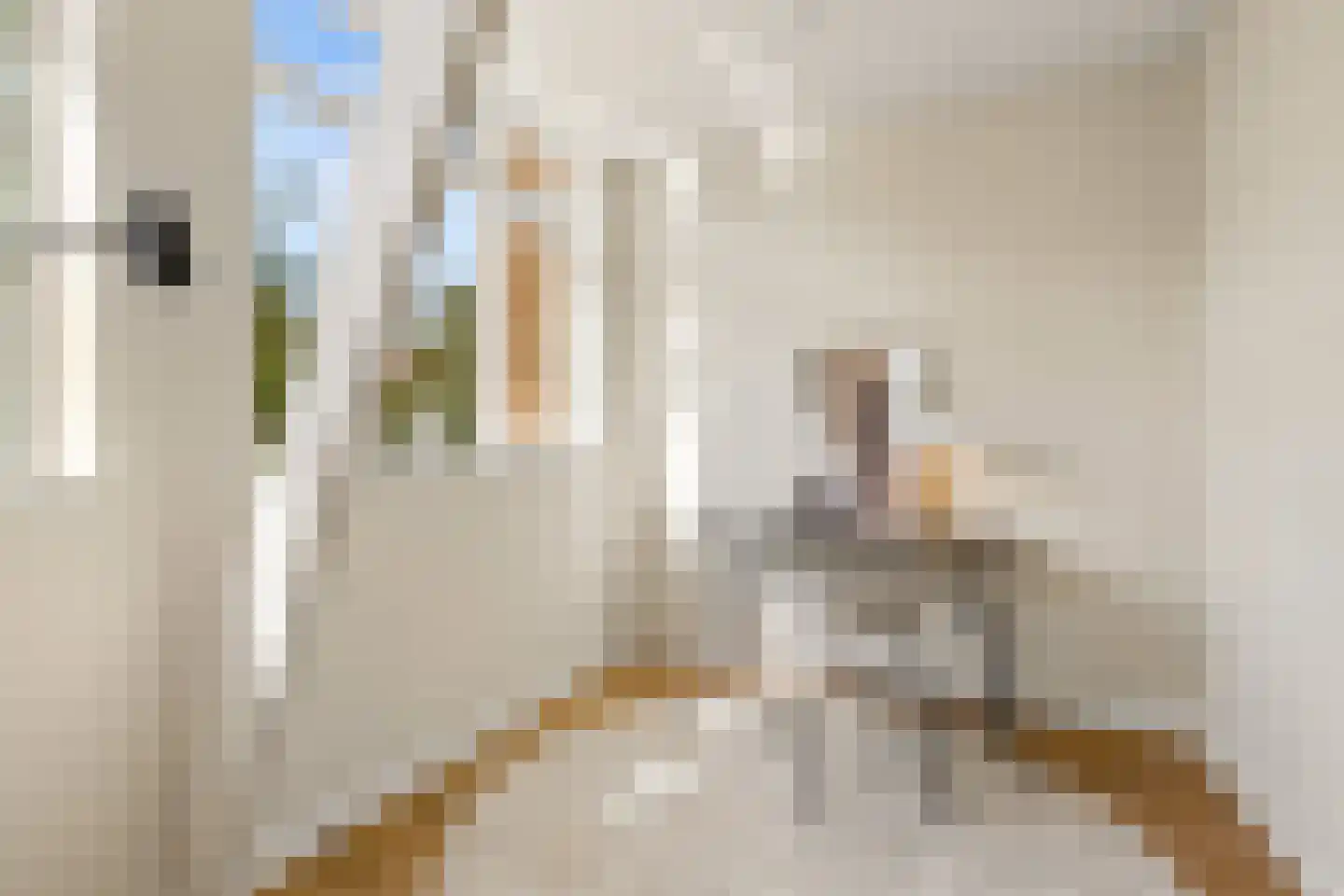 Otterstraat 60 Utrecht thumbnail 28