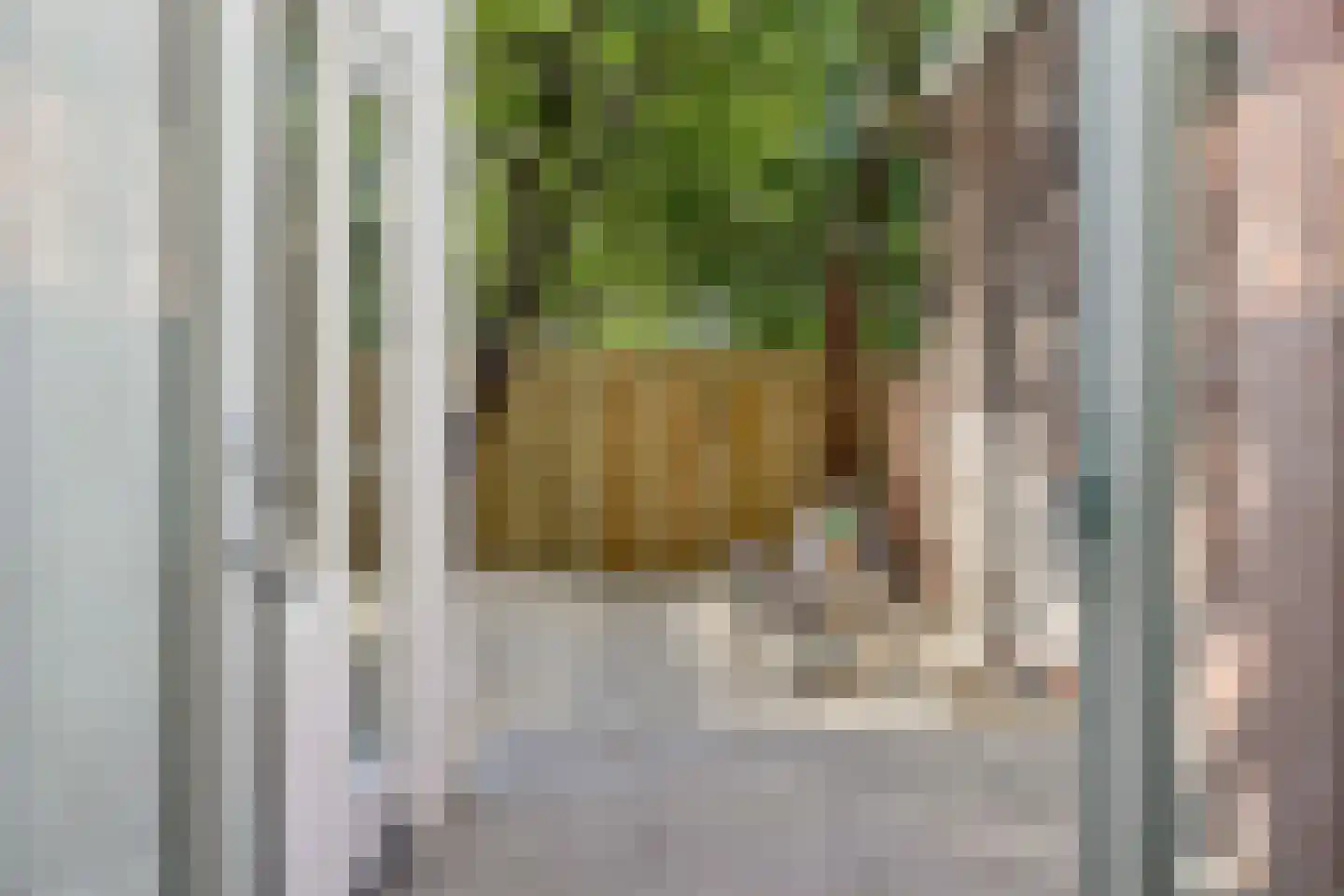 Otterstraat 60 Utrecht thumbnail 4