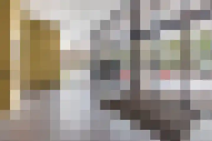 Otterstraat 65 Eindhoven thumbnail 6