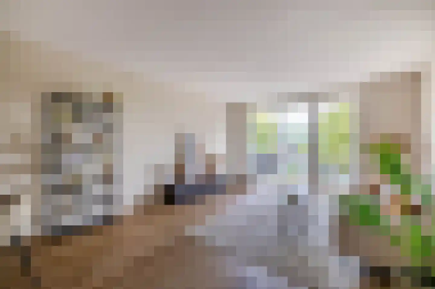 Otterstraat 77 Eindhoven thumbnail 12