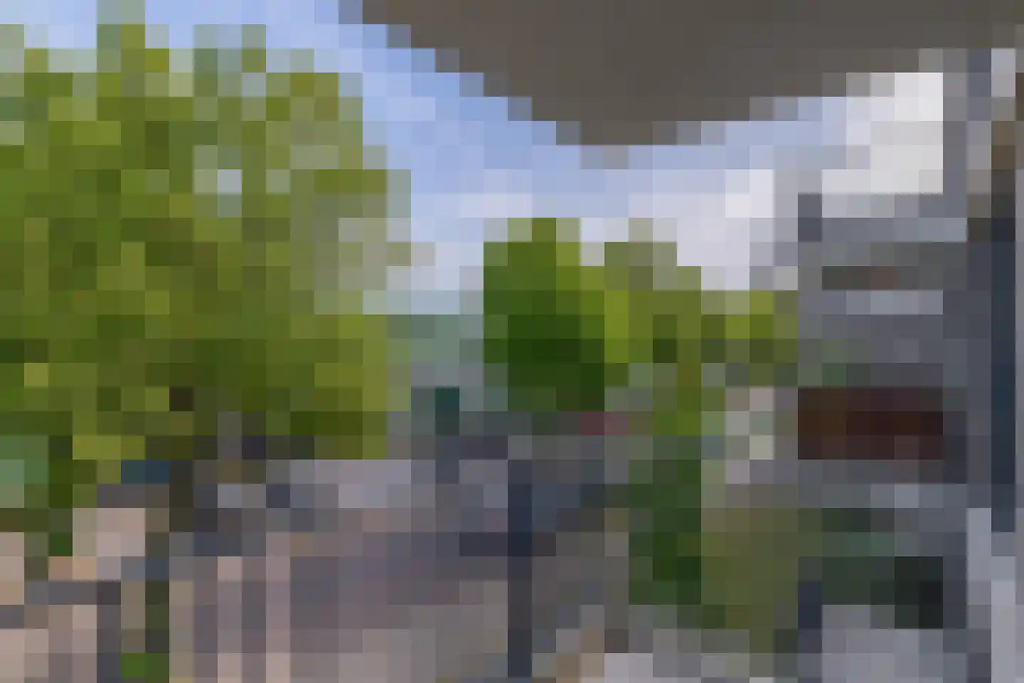 Otterstraat 77 Eindhoven thumbnail 5