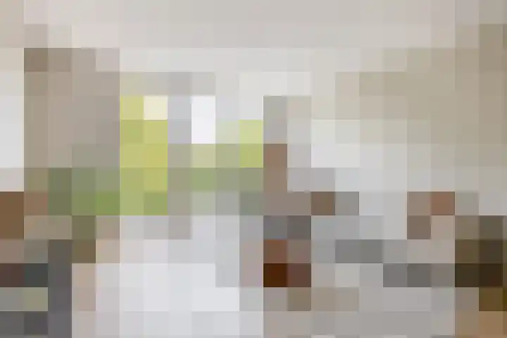 Otterstraat 85 Eindhoven thumbnail 17