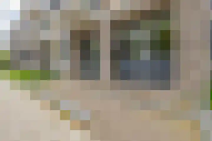Otterstraat 85 Eindhoven thumbnail 6