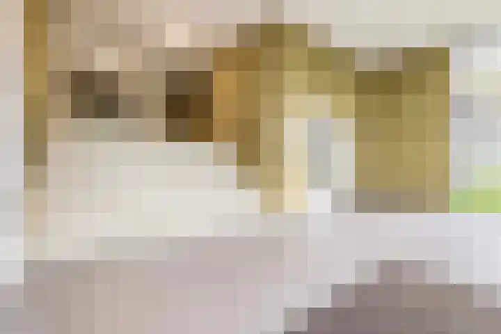 Otterstraat 93 Eindhoven thumbnail 13