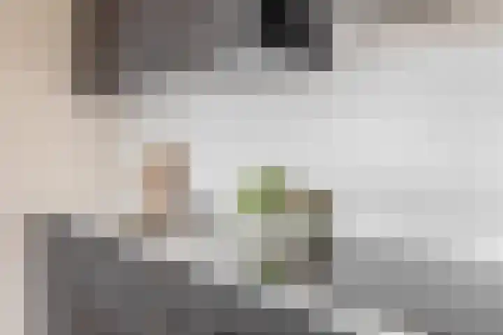 Otterstraat 93 Eindhoven thumbnail 27