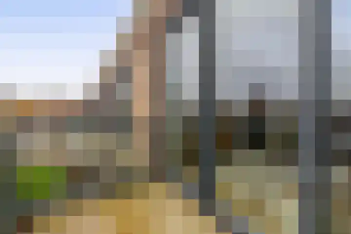 Otterstraat 93 Eindhoven thumbnail 35
