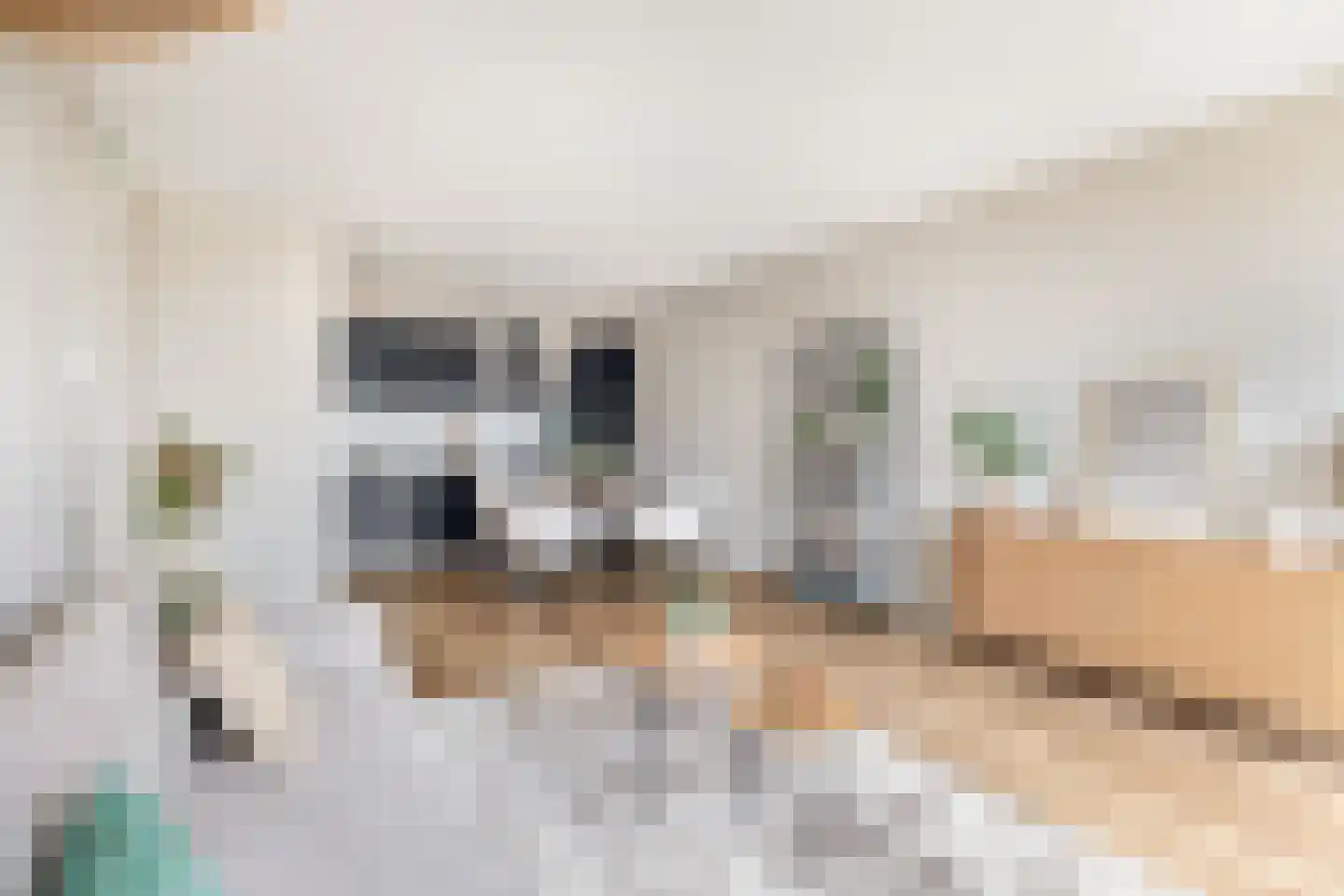 Otterstraat 95 Eindhoven thumbnail 15