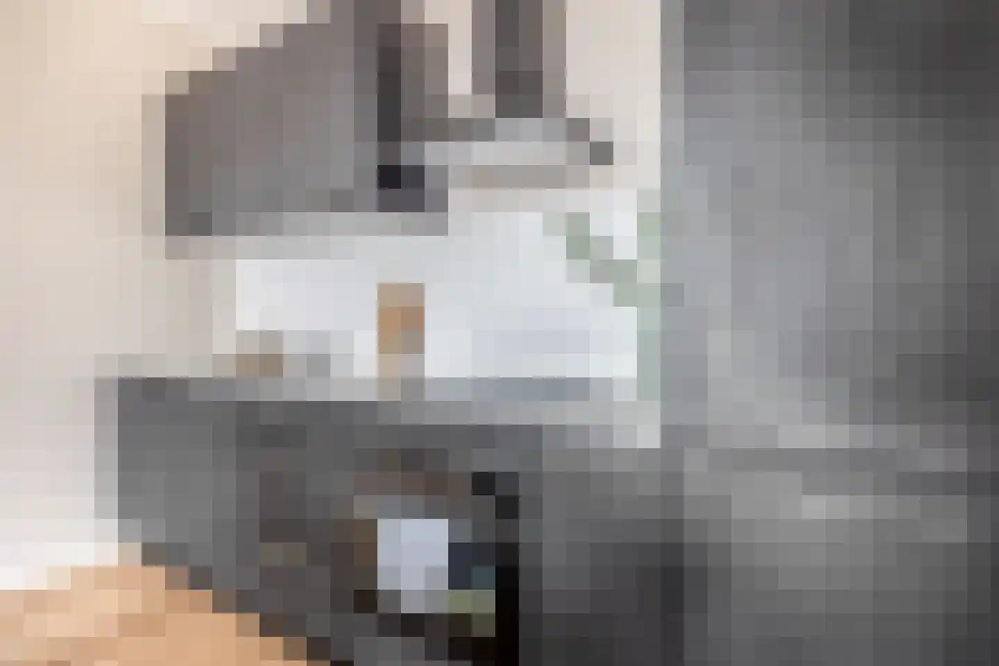 Otterstraat 95 Eindhoven thumbnail 21