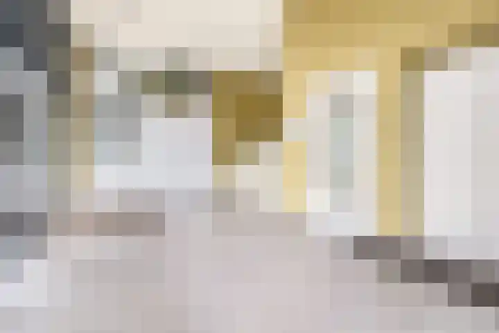 Otterstraat 95 Eindhoven thumbnail 8