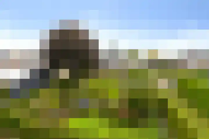Ottersumseweg 62 Gennep thumbnail 28