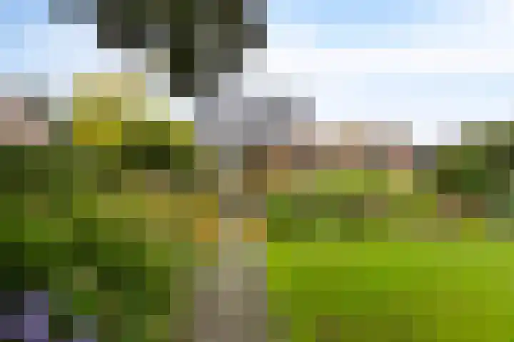 Ottersumseweg 62 Gennep thumbnail 29