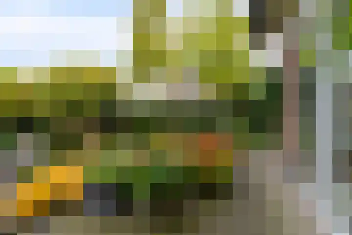 Ottersumseweg 62 Gennep thumbnail 30