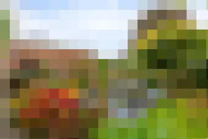 Ottersumseweg 62 Gennep thumbnail 31