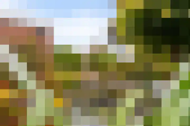 Ottersumseweg 62 Gennep thumbnail 32