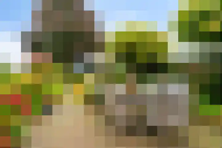 Ottersumseweg 62 Gennep thumbnail 33