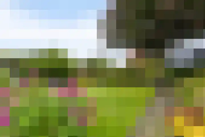 Ottersumseweg 62 Gennep thumbnail 34