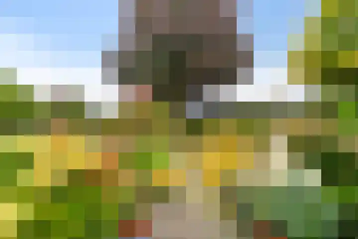 Ottersumseweg 62 Gennep thumbnail 35