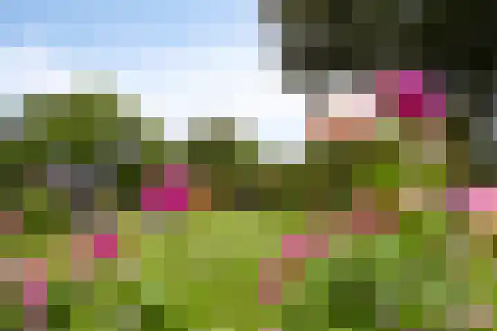 Ottersumseweg 62 Gennep thumbnail 37