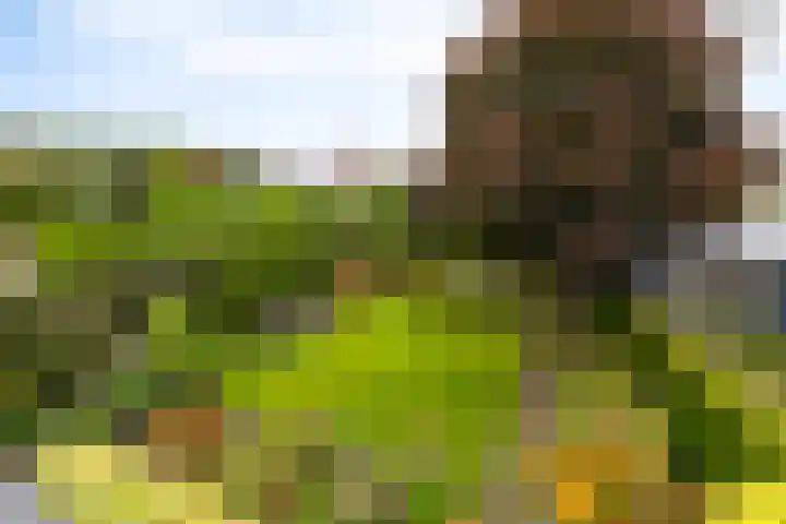 Ottersumseweg 62 Gennep thumbnail 39