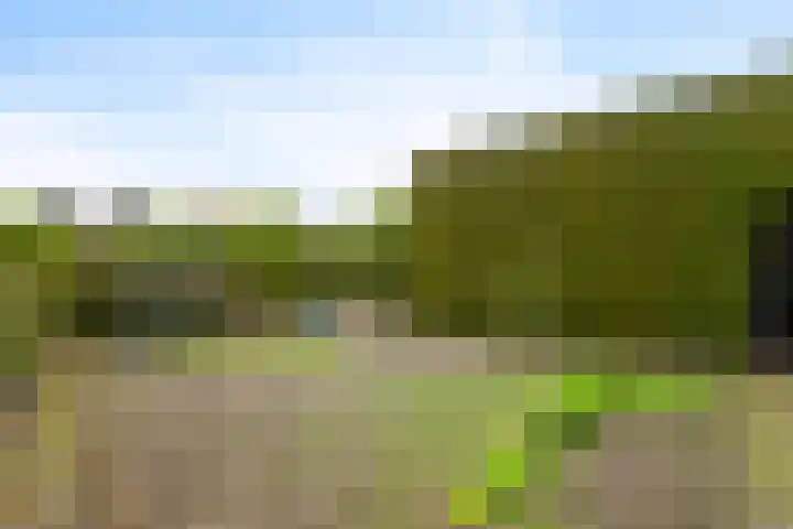 Ottersumseweg 62 Gennep thumbnail 41