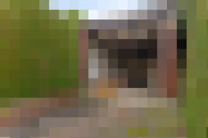 Ottersumseweg 62 Gennep thumbnail 42