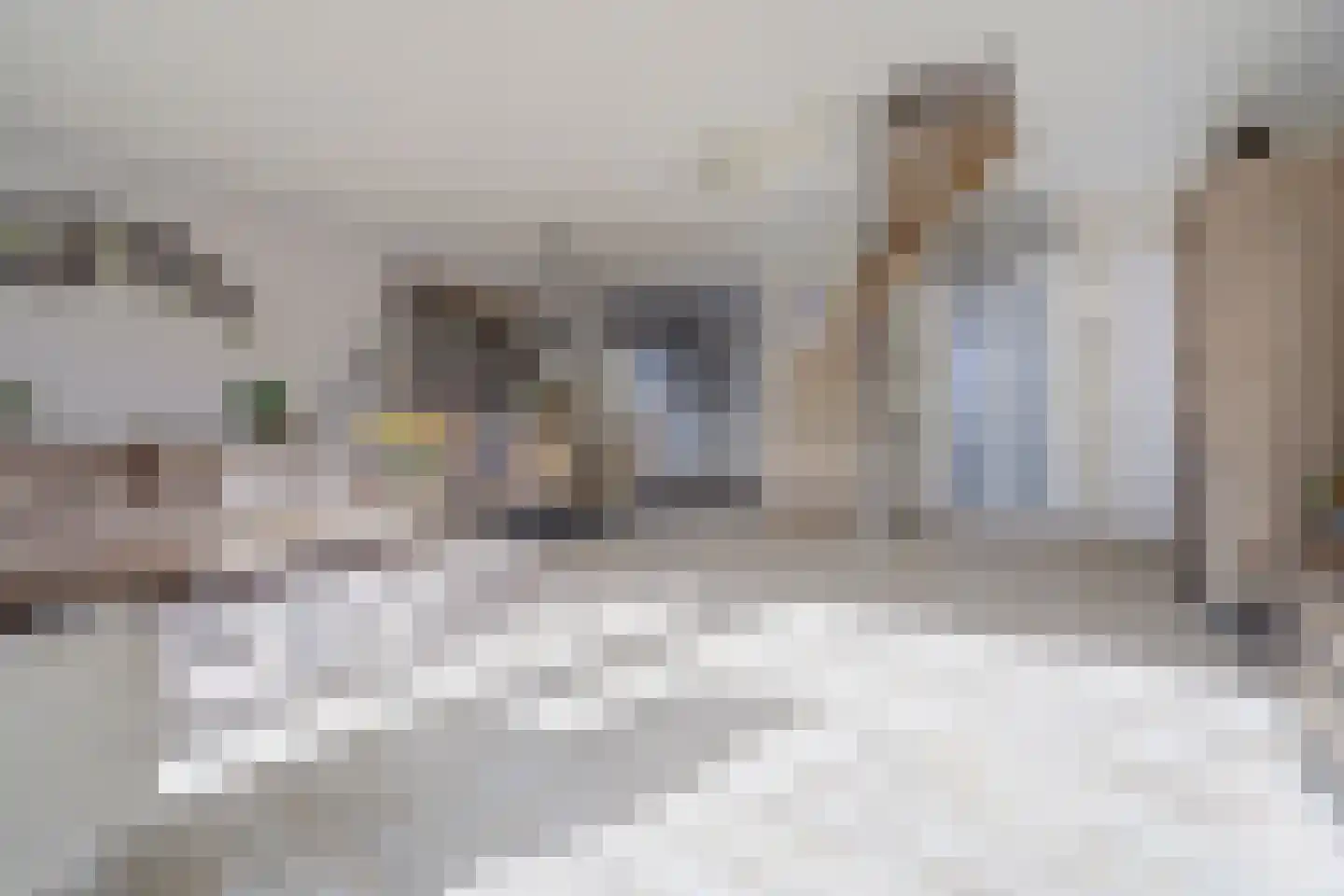 Ottersveen 121 Spijkenisse thumbnail 10